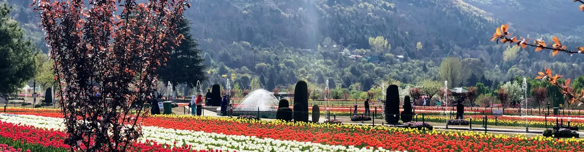 Kashmir With Leh-Ladhak Tour