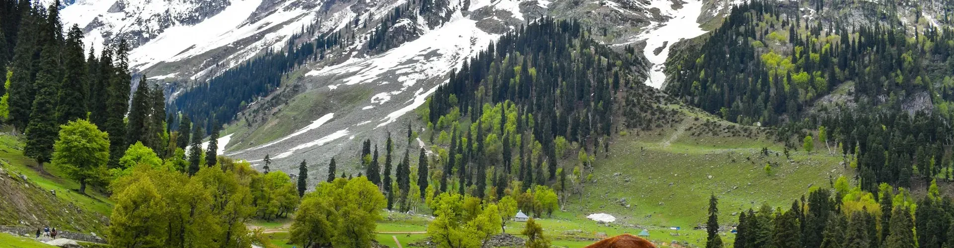 Kashmir With Leh-Ladhak Tour