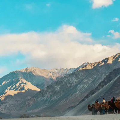 Hunder Sand Dunes:Nubra Valley "Camel rides in a Himalayan desert."