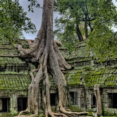 Ta Prohm Temple: Known as the “Tomb Raider Temple”