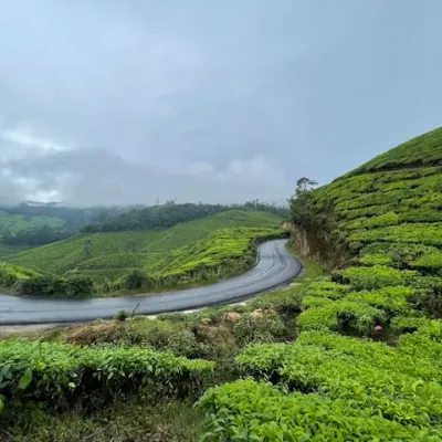 Munnar, Kerala, India