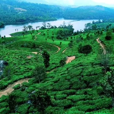 Munnar, Kerala, India