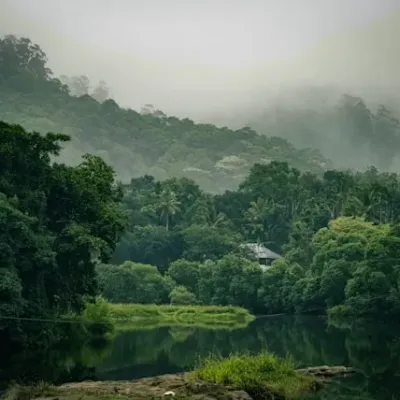 Thekkady, Kumily, Kerala, India