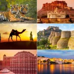 Explore Rajasthan